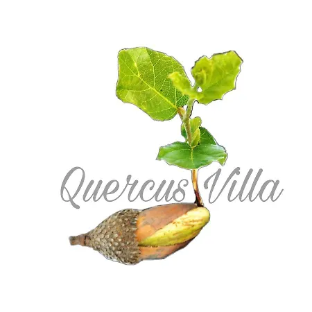 Quercus 度假居 塞辛布拉